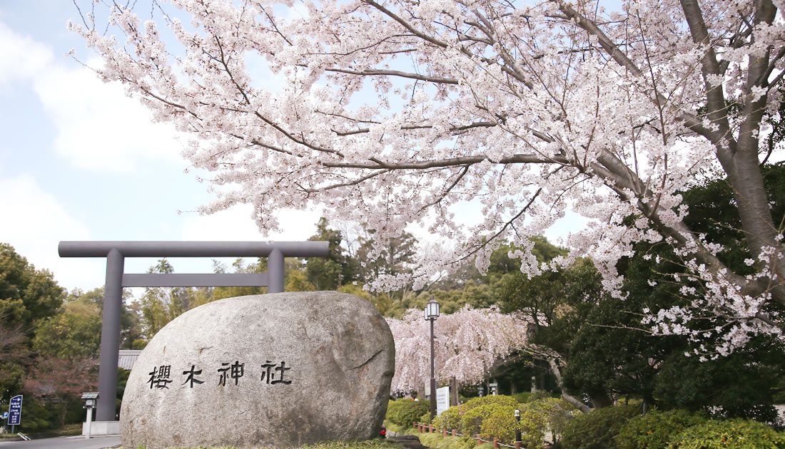 「桜」という資産の磨き方──ブランド設計と崇敬型ハイブリット神社への転換